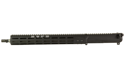 NV03000446_3.jpg